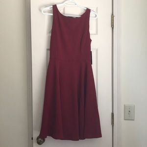 Lulus Fit and Flare Dress
